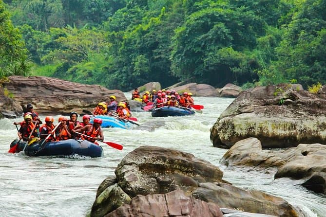 Day Tour: White Water Rafting (Kithulgala)