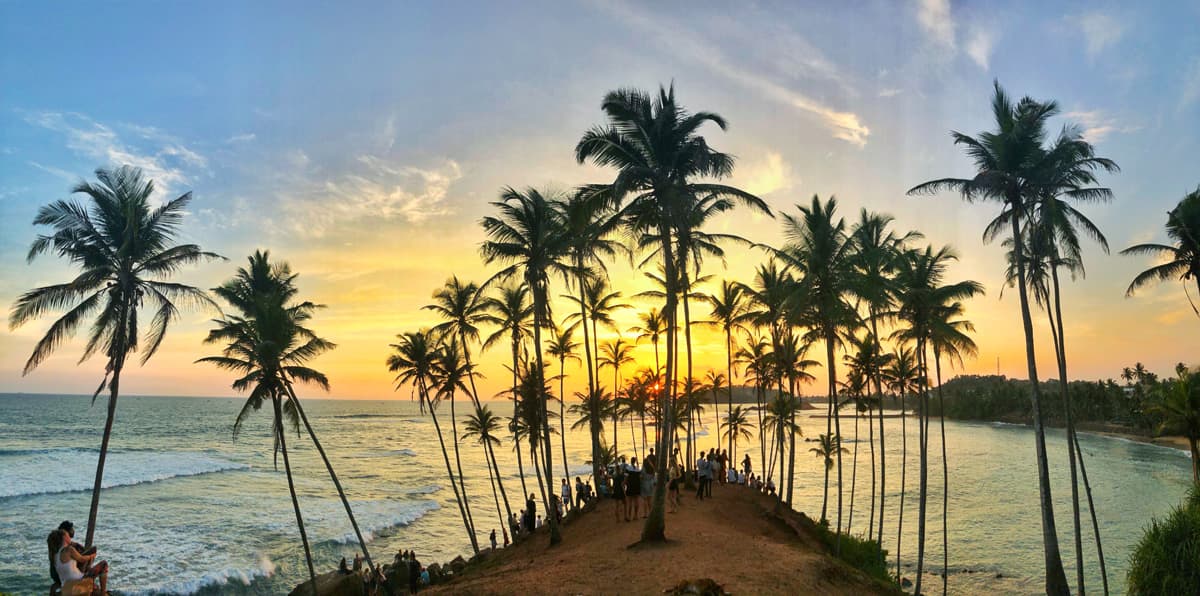 Two Days: Whale Watching & Udawalawe Safari